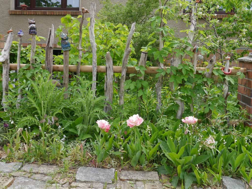 Ferienwohnung in Altenhof mit wildem Garten, Grill und Paddelboot